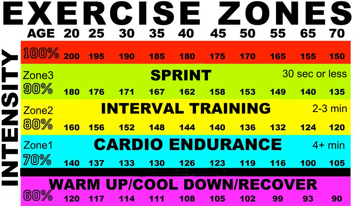 HEART-RATE-ZONESchart